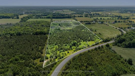 BESIDE 337 COUNTY 24 ROAD, Prince Edward County, Ontario K0K 2P0, Canadá