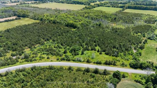 BESIDE 337 COUNTY 24 ROAD, Prince Edward County, Ontario K0K 2P0, Canada