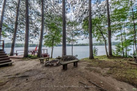 3138 STURGEON LAKE ROAD, Papineau-Cameron-, 安大略省 P0H 1V0, 加拿大