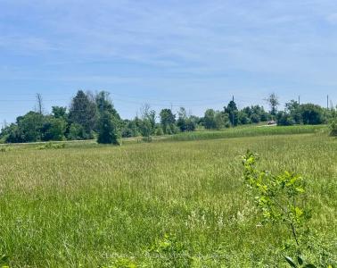 00 COUNTY ROAD 8 ROAD E, Elizabethtown-Kitley-, Ontario K0E 1Y0, Canada