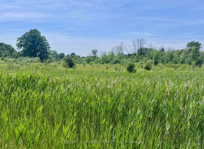 00 COUNTY ROAD 8 ROAD E, Elizabethtown-Kitley-, Ontario K0E 1Y0, Canada