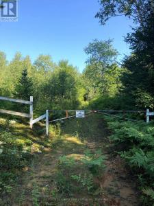 LOT 6-10 MOON ROAD, Dysart Et Al (dysart), Ontario K0M 1S0, Canada
