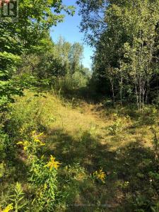 LOT 6-10 MOON ROAD, Dysart Et Al (dysart), Ontario K0M 1S0, Canada