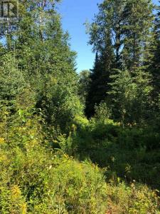 LOT 6-10 MOON ROAD, Dysart Et Al (dysart), Ontario K0M 1S0, Canada