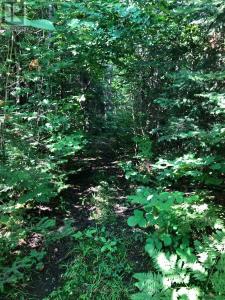 LOT 6-10 MOON ROAD, Dysart Et Al (dysart), Ontario K0M 1S0, Canada