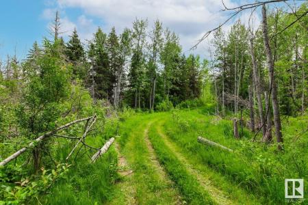 TWP RD 653 AND WILLOW RD, Rural Athabasca County, Alberta T0A 0M0, Canadá