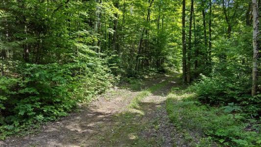 Ch. Greermount, Thorne, Quebec J0X 2Y0, Canadá