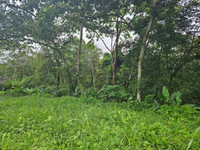 Fortuna San Carlos, Alajuela 21401, Costa Rica