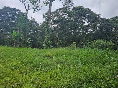 Fortuna San Carlos, Alajuela 21401, Costa Rica