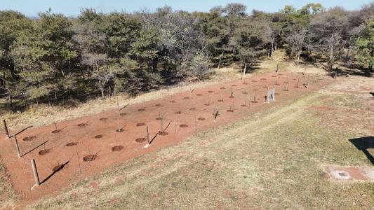 Bela Bela, Limpopo, South Africa