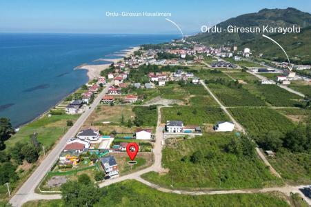 Ordu, 터키