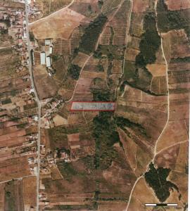 Cadaval, Lisbon 2550-429, Portugal