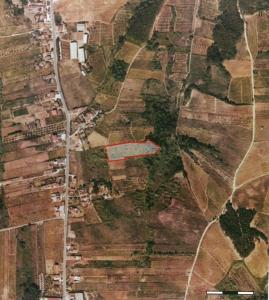 Cadaval, Lisbon 2550-429, Portugal