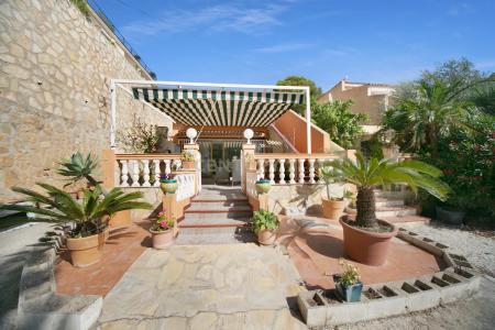 Alacant/Alicante, Comunitat Valenciana 03710, ספרד