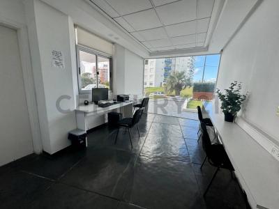 M´hijo el Dotor y Chiverta 0, Punta Del Este, Maldonado 15000, Uruguai