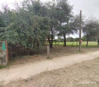 Loma Plata, Boquerón 00001, Paraguay