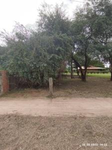 Loma Plata, Boquerón 00001, Paraguay