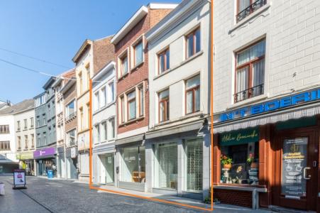 Basiliekstraat 18, Halle, Belgio