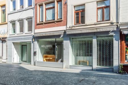Basiliekstraat 18, Halle, 1500, 比利时