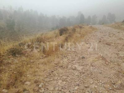 Camino Cañada del Lobo ,, San Luis Potosi, San Luis Potosi 78427, Mexico