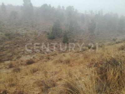 Camino Cañada del Lobo ,, San Luis Potosi, San Luis Potosi 78427, Mexico