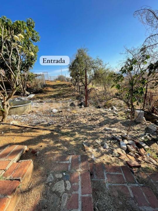 C. La Carroza S/N,, San Andrés Huayapam, Oaxaca 68288, México