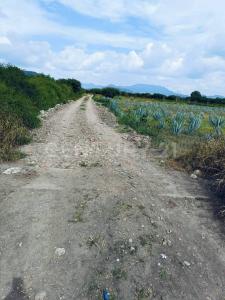 s/n s/n,, Tlacolula De Matamoros, Oaxaca 70400, México