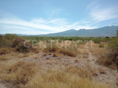 s/n s/n,, Tlacolula De Matamoros, Oaxaca 70400, México