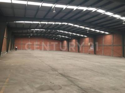 Saltillo, Coahuila 25100, Mexico