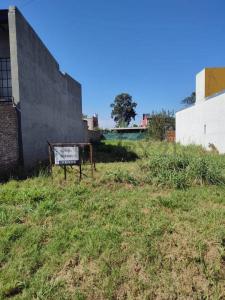 El Sauce S/N, Alvear, Santa Fe 00001, ארגנטינה