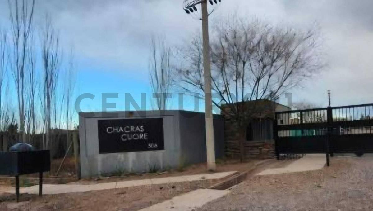 LARREA 506, Chacras De Coria, Mendoza 5505, Argentine