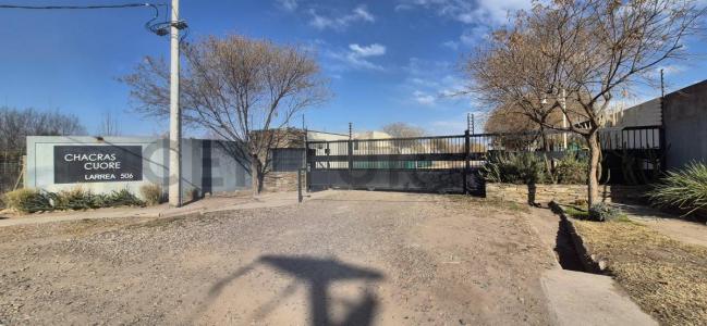 LARREA 506, Chacras De Coria, Mendoza 5505, Argentine