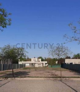 LARREA 506, Chacras De Coria, Mendoza 5505, Argentine