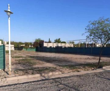 LARREA 506, Chacras De Coria, Mendoza 5505, Argentine