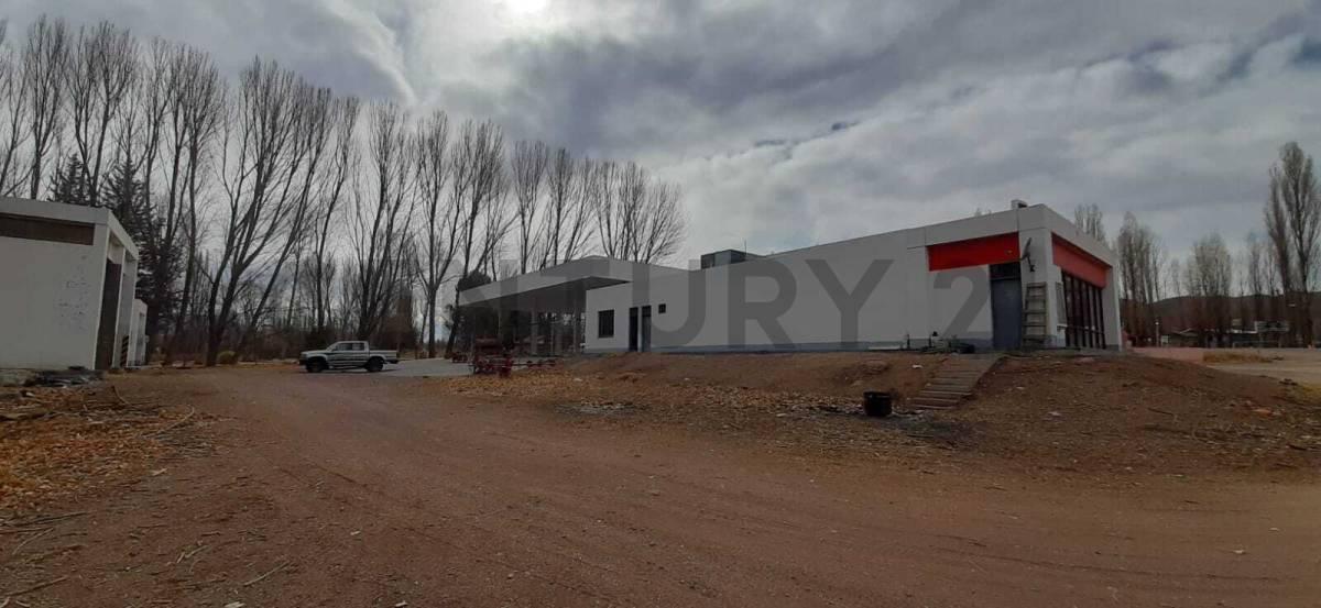 Uspallata, Mendoza 5539, Argentina