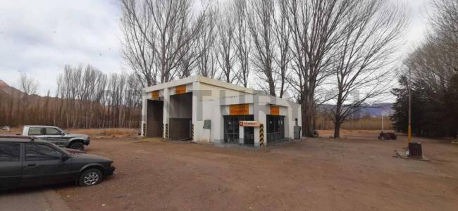 Uspallata, Mendoza 5539, Argentina