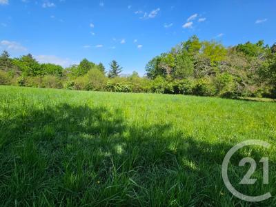 Clarens, Midi-Pyrénées 65300, France