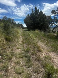 1880 Copper Gulch Road, Cotopaxi, Colorado 81223, Estados Unidos