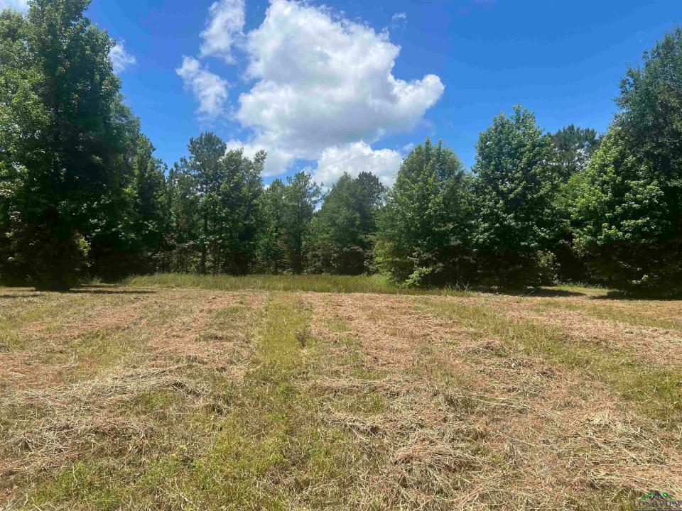 TBD FM 134, Karnack, Teksas 75661, USA