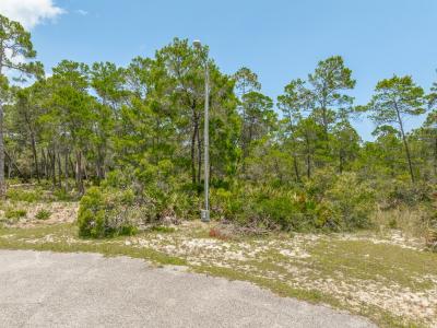 349 Blue Heron Dr, Eastpoint, 佛罗里达州 32328, 美国