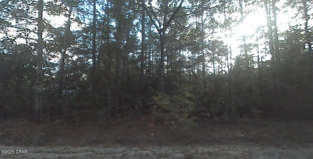 00 Krocus Street, Фонтан, Флорида 32438, Соединенные Штаты