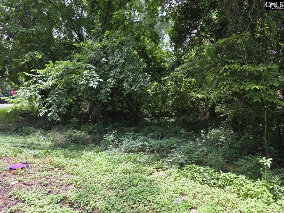 2729 Harlem Street, Columbia, Carolina Del Sur 29209, Estados Unidos