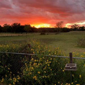 1300 Knob Road, Springtown, Texas 76082