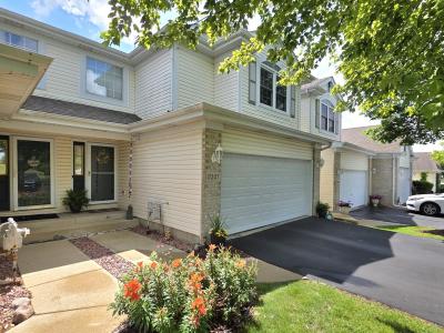 17207 Arrow Head Drive, Lockport, Illinois 60441