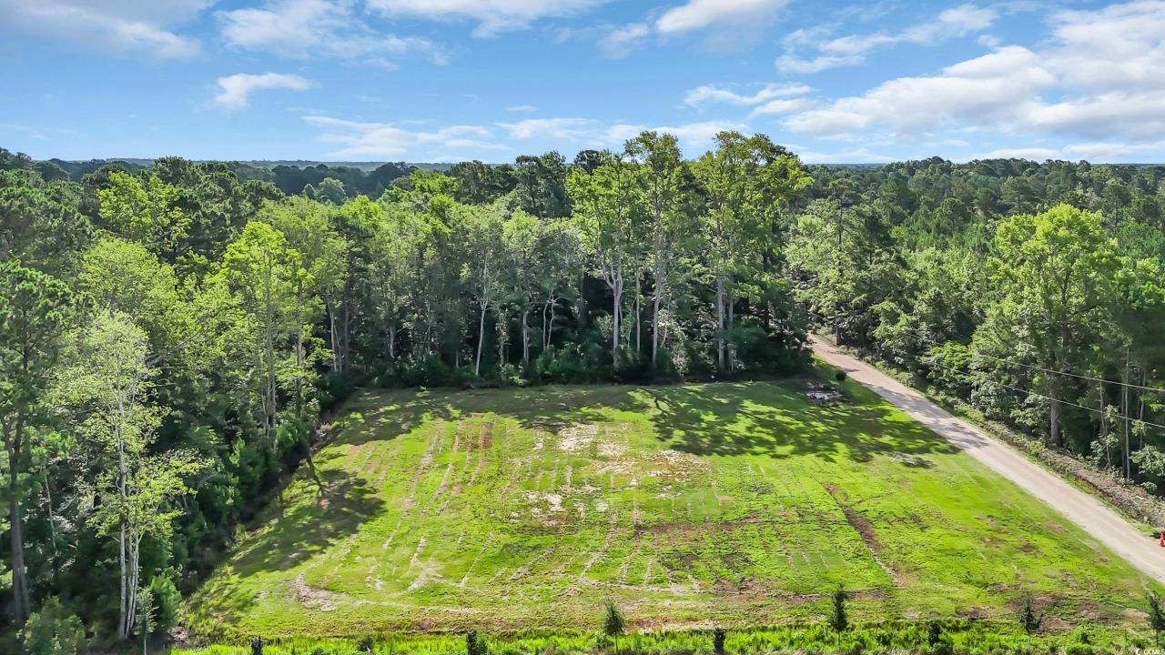3845 Hillside Dr., Conway, Caroline Du Sud 29526, États-Unis