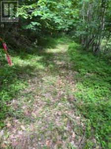1085 OLD MINE ROAD, Frontenac (frontenac South), Ontario K7M 0H2, Canadá