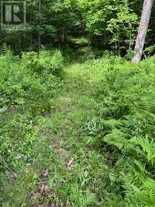 1085 OLD MINE ROAD, Frontenac (frontenac South), Ontario K7M 0H2, Canadá