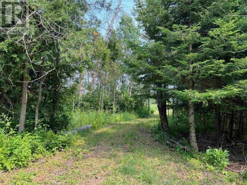 LOT 2 & 3 CON NELSON DR, St. Joseph Island, Ontario P0R 1G0, Canadá