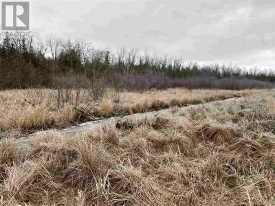 LOT 2 & 3 CON NELSON DR, St. Joseph Island, Ontario P0R 1G0, Canada
