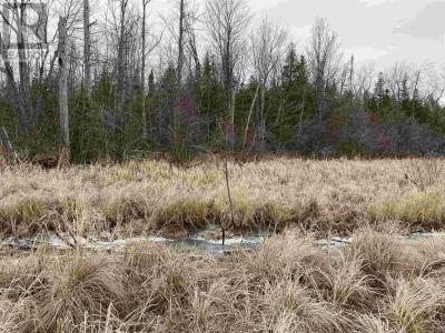 LOT 2 & 3 CON NELSON DR, St. Joseph Island, Ontario P0R 1G0, Canadá